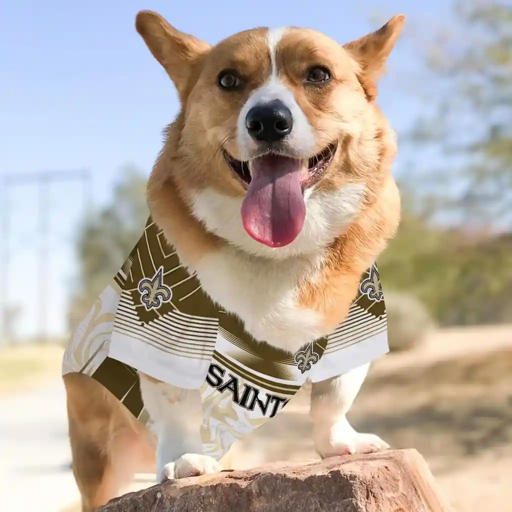 personalized-new-orleans-saints-hexagon-burst-gold-white-pet-jersey-top-rated.webp