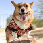 san-francisco-49ers-palm-retro-red-black-pet-jersey-best-selling.webp